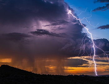 One of Donna's award-winning photos